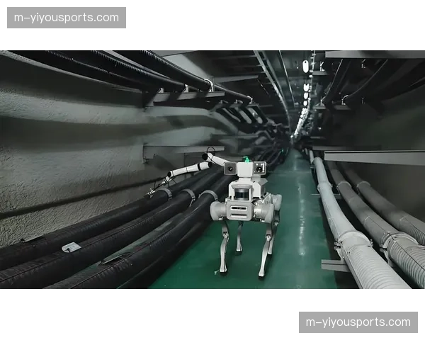 赞助商权益自动化校验仪，本季度实现现场巡检数字化