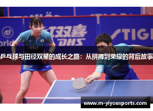 乒乓球与田径双星的成长之路：从拼搏到荣耀的背后故事