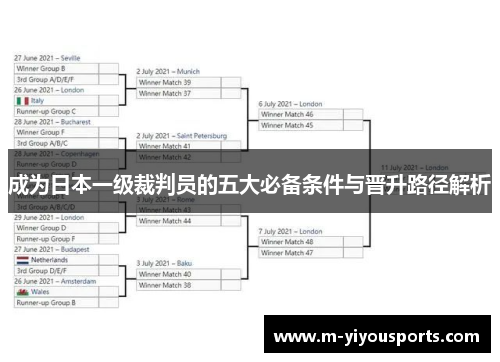成为日本一级裁判员的五大必备条件与晋升路径解析