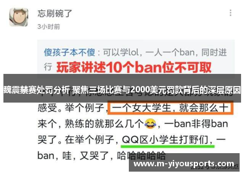 魏震禁赛处罚分析 聚焦三场比赛与2000美元罚款背后的深层原因