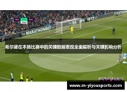 希尔德在本场比赛中的关键数据表现全面解析与关键影响分析
