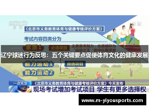 辽宁球迷行为反思：五个关键要点促使体育文化的健康发展