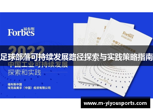 足球部落可持续发展路径探索与实践策略指南